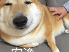 -晴季寿司(红旗街万达店)