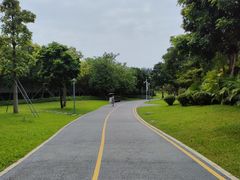 -宝安西湾红树林湿地公园