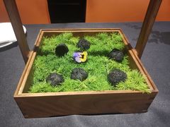 牛油果松露球-小运河·公馆(国贸店)