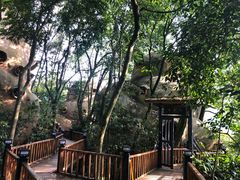 -天门沟九州驿站树上汤泉