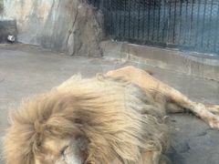 -南昌动物园