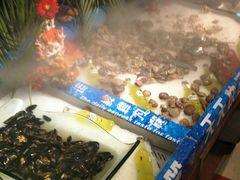 -自助火锅筷乐食代自助餐厅(金辰店)