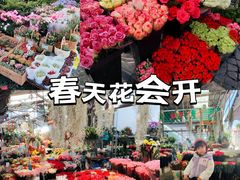 -曲阳花鸟市场(曲阳路店)