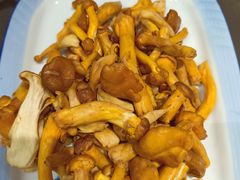 -菌之家·专业纯野生菌火锅·特色炒菌