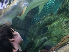 -悉尼海洋生物水族馆
