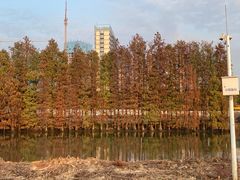 -顺峰山公园