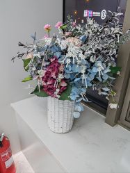 -悟空祛痘·诺奖技术专业店