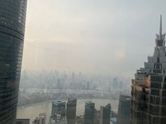 -上海柏悦酒店
