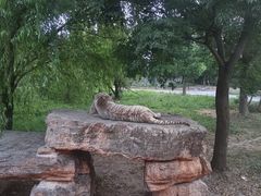 -上海野生动物园