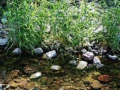 -云岫谷自然风景区