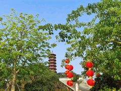 -红花山公园