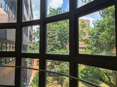 -香港大学