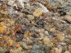 -白河湾生态旅游一条川
