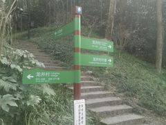 -龙井村