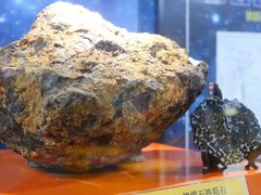 -紫金山天文台