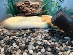 -石家庄市动物园