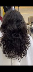 -型色沙龙 Color Salon
