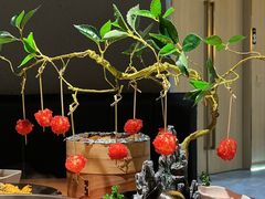 -一朵菌·野生菌探索家火锅(南亚店)
