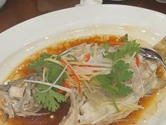-泰丰楼(前门西大街店)