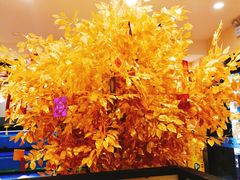 -后宫私房菜(汇客美食娱乐广场店)
