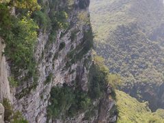 -神农山景区