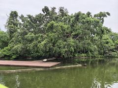 -海南热带野生动植物园