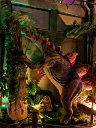 -恐龙探索乐园(磁器口店)