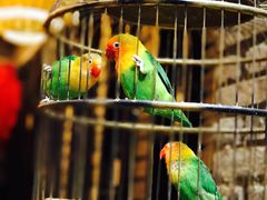 -鱼桥巷·美学川菜