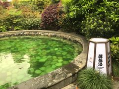 -杭州第一世界大酒店·云曼温泉