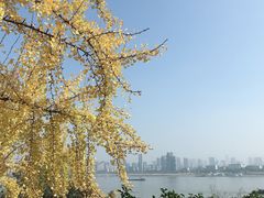 -龟山风景区-龟山电视塔