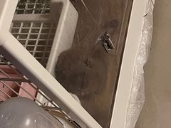 -立德异宠动物医院.兔鸟爬.内窥镜(天河店)