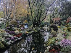 -共青国家森林公园-南大门停车场