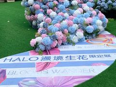 -HALO广场(梨园路店)