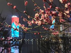 -天鹅湖体育公园