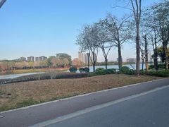 -顺峰山公园