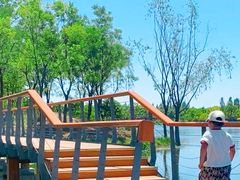 -东郊湿地公园
