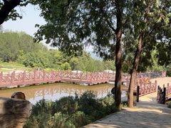 -北京西山国家森林公园