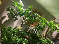 -合和大唐(江夏纸坊店)