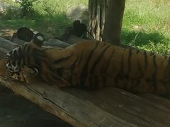 -西安秦岭野生动物园