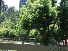 -全家便利店(鑫竹苑店)