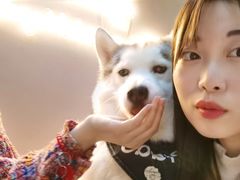 -Husky Go! 哈士奇体验馆·宠物咖啡厅狗咖