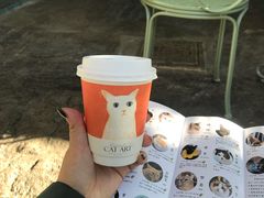 -喵屿·大理花园猫咖