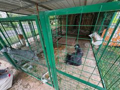 -成都安仁福朋喜来登酒店