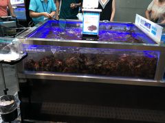 -盒马X会员店(王府井奥莱UP TOWN店)