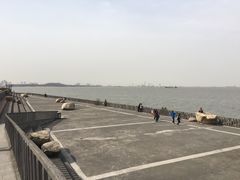-上海滨江森林公园·停车场