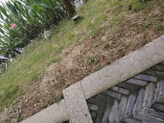 -常德桃花源景区