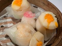 -新同乐鱼翅酒家(美丽华店)
