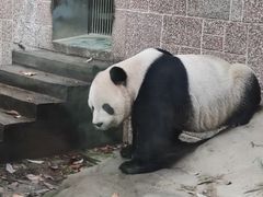 -石家庄市动物园