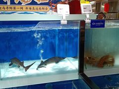 水产区-盒马鲜生(和谐广场店)