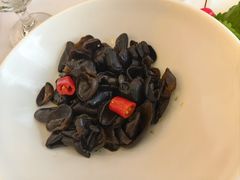 -骏莱海鲜鱼港(五角场店)